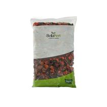 Mix Berries Cranberry GojiBerry Cereja Morango Uva 500G Mix Berries Cranberry GojiBerry Cereja Morango Uva 500G