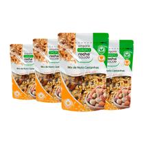 Mix de Castanhas Importada Nuts Qualidade Premium Kit 4 100g Mix de Castanhas Importada Nuts Qualidade Premium Kit 4 100g