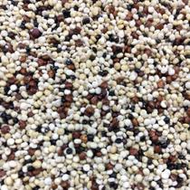 Mix de Quinoa Grãos 250g