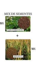 Mix de Sementes - Nabo Forrageiro/Milheto - 5KG de Sementes