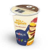 Mix de Vegetais Chips Desidratados Nóblis Barbecue