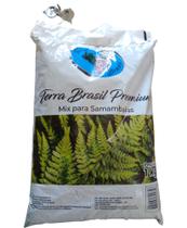 Mix para samambaias premium substrato 1kl