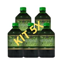Mix vita plus 500 ml cha amargo cadore kit com 5un cha verde