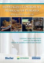Modelagem e controle da producao de petroleo Modelagem e controle da producao de petroleo