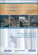 Modelagem e controle da produção de petróleo