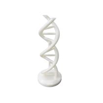 Modelo Anatômico 3D DNA e Genes, Peça Decorativa Medicina e Ciência Modelo Anatômico 3D DNA e Genes, Peça Decorativa Medicina e Ciência