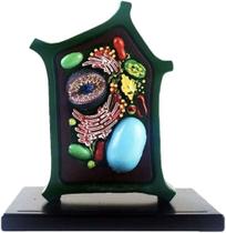 Modelo Anatômico Célula Vegetal - Auxiliar de Aprendizagem Educacional Material de Laboratório