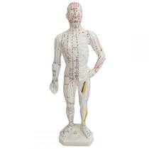 Modelo Anatômico Com Pontos De Acupuntura - 27 Cm Modelo Anatômico Com Pontos De Acupuntura - 27 Cm