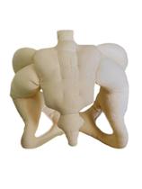 Modelo Anatômico de Pelve Feminina Tamanho Natural em Tecido