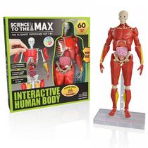 Modelo de anatomia seja incrível! Brinquedos interativos Human Body 14"