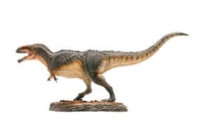 Modelo de arte de dinossauros PNSO Museus de dinossauros Lucas Giganotosaurus