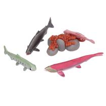 Modelo de ciclo de crescimento Keenso Salmon Animal acima de 3 anos Modelo de ciclo de crescimento Keenso Salmon Animal acima de 3 anos