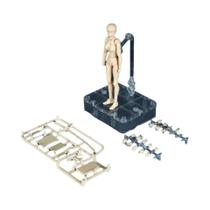 Modelo De Corpo De Figura De Ação Posable SH Figuarts Para Desenho E Pintura Com Vários Gestos