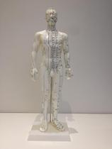 Modelo De Corpo Humano Masculino Pontos de Acupuntura 50 cm - Dragon