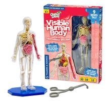 Modelo de corpo humano Thames e Kosmos Ooze Labs com órgãos Modelo de corpo humano Thames e Kosmos Ooze Labs com órgãos
