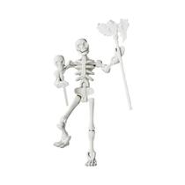 Modelo De Esqueleto 3D Articulado Com Múltiplas Juntas, Crânio Móvel, Boneco De Ação, Presentes E