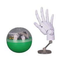 Modelo De Mão Humana Móvel De 10,5cm, 12 Simulações De Palma, Brinquedo De Ornamento De Mesa, Caixa