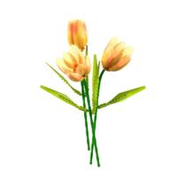 Modelo De Planta Tulipa Em Vaso, Criatividade Urbana, Bouquet De Flores, Blocos De Montar, Exibição