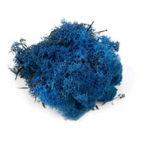 Modelo Foliage War World Scenics Liquen Blue Moss 100g