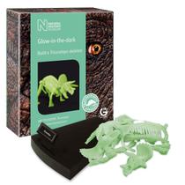 Modelo Skeleton Triceratops Glow in the Dark, 12 peças Constr.