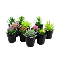 Modelos Miniatura De Plantas Em Escala 1:12 Em Vaso 5 Peças Para Decoração De Casa E Jardim De Fadas Modelos Miniatura De Plantas Em Escala 1:12 Em Vaso 5 Peças Para Decoração De Casa E Jardim De Fadas