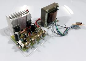 Modulo Amplificador mono 100WTS CX15 - BERZEK
