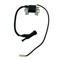 Módulo Bobina Ignição Para Motor Buffalo BFG 9.0hp Rental