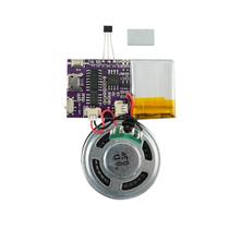 Módulo de Voz JRGKJCP com Sensor Magnético - MP3 16MB e Alto-Falante