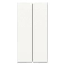 Modulo Duplo Interruptor Simples 10A 250V Orion Schneider