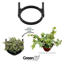 Módulo Greenplast para Jardim Vertical 25cm