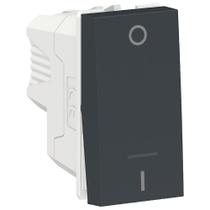 Módulo Interruptor Bipolar Simples 10 Amperes 250 Volts Grafite Orion - S70110294 - SCHNEIDER