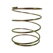 Mola Acoplamento Mueller Class Action