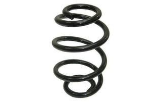 Mola cuica traseiro 30