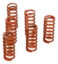 Mola De Embreagem Kit Prox Yzf 450 07/17 + Wrf 450 16/18