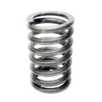 Mola de Válvula Yanmar NS90