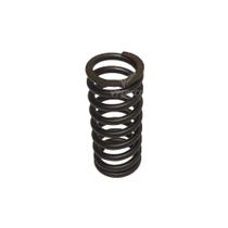 Mola Interna Da Válvula Escape Para DAF MX13/XF105/CF85 - 1819063