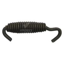 Mola Patim Pequena Para Iveco Tector - 503355153