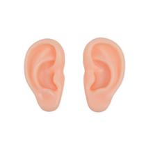 Molde Anatômico de Silicone para Treino de Piercing Tattoo