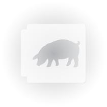 Molde de Porco 33 cm Plástico Branco Mylar Molde de Porco 33 cm Plástico Branco Mylar