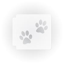 Molde Vazado de Pegadas de Patas 28 cm Branco em Plástico Mylar Molde Vazado de Pegadas de Patas 28 cm Branco em Plástico Mylar