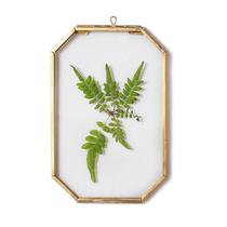 Moldura flutuante de vidro NCYP para foto de arte 10,2 x 15,2 cm