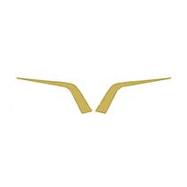 Moldura Frontal Grade - Dourado - Par - Para Daf XF