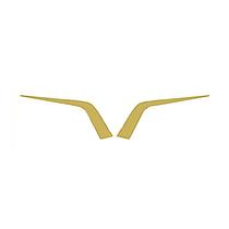 Moldura Frontal Grade - Dourado - Par - Para Daf XF