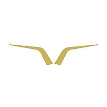 Moldura Frontal Grade Para Daf XF - Dourado - Par