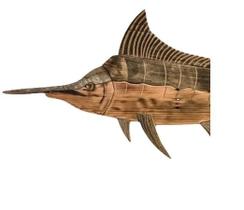 Moldura Ornamento Estátua Decoração do Mar: Baleia Peixe Marlin Tubarão