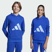 Moletom Adidas Essentials Big Logo Com Capuz Juvenil Azul