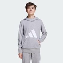 Moletom Adidas Essentials Big Logo Com Capuz Juvenil Cinza