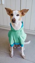 Moletom para Cachorro Green Pop
