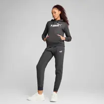 Moletom Puma ESS NO. 1 Logo Feminino Cinza