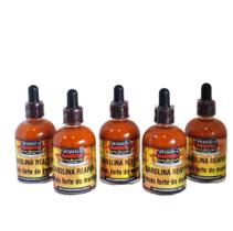 Molho De Pimenta Carolina Reaper Kit 5 Sem Glúten Mais Ardid